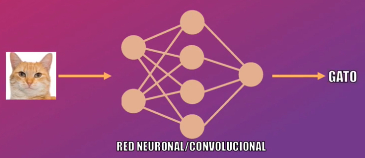 Las Redes Neuronales o Convolucionales son capaces de clasificar datos